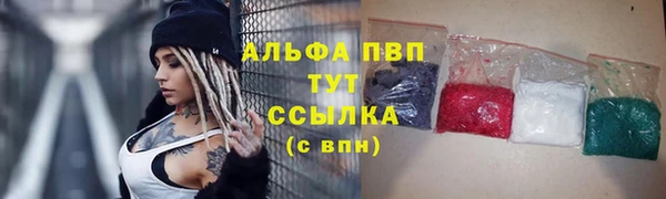 стафф Алзамай
