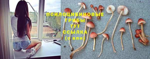 круглые Алексин
