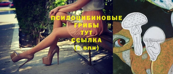 круглые Алексин