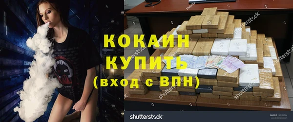 стафф Алзамай
