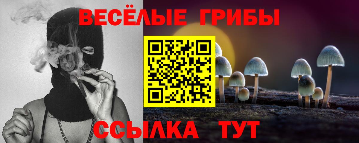 Калининград  Галлюциногенные грибы Psilocybe  Вход с VPN 